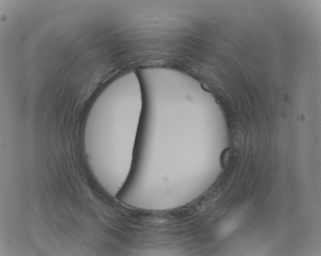 X0000076420743200610202219