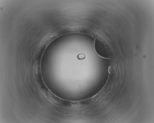 X0000076420744200610202219