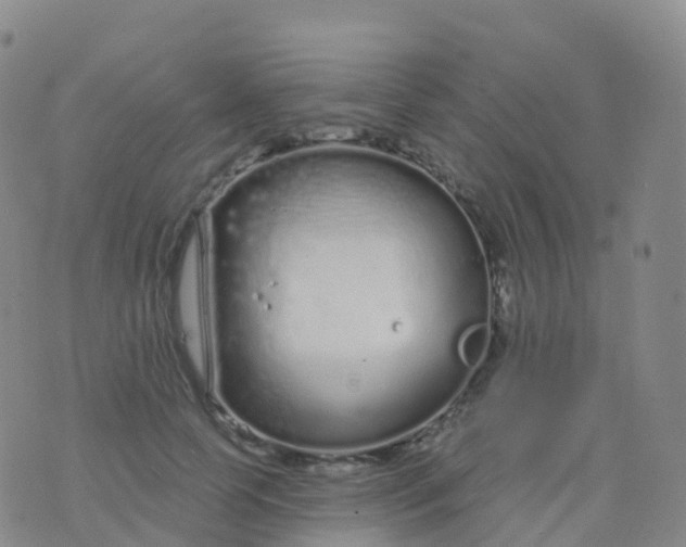 X0000076420745200610202219