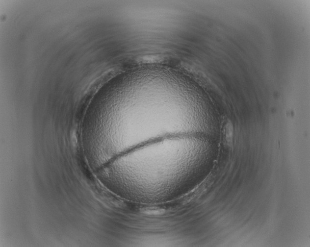 X0000076420746200610202219