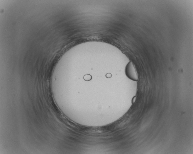 X0000076420747200610202219