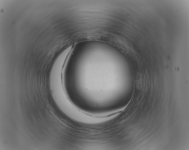 X0000076420748200610202219