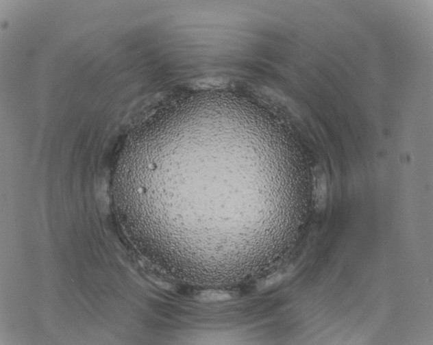 X0000076420749200610202219