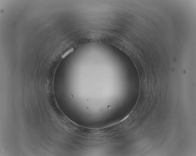 X0000076420750200610202219