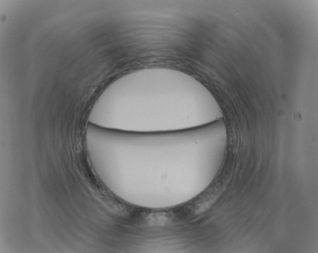 X0000076420751200610202219