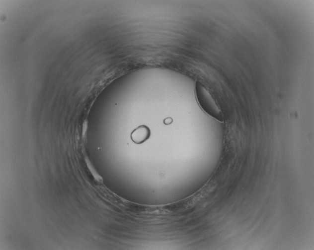 X0000076420752200610202220