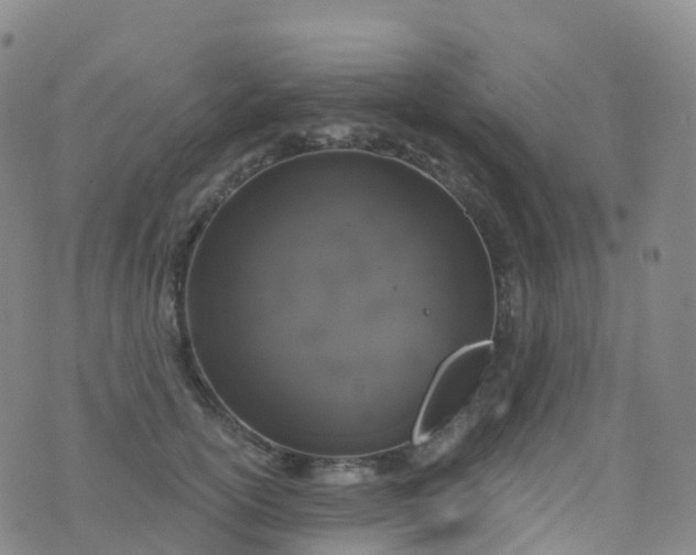 X0000076420754200610202220