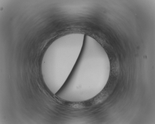 X0000076420755200610202220