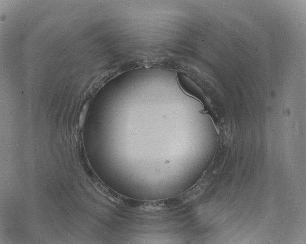 X0000076420756200610202220