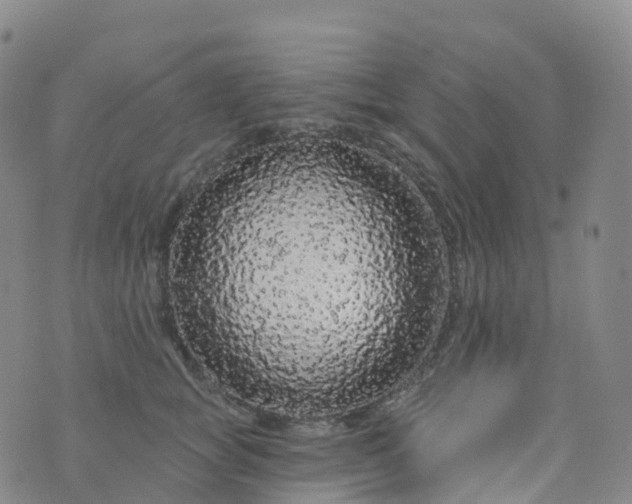 X0000076420757200610202220