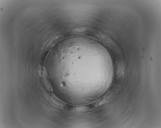 X0000076420758200610202220