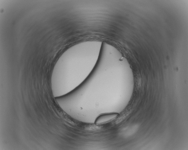 X0000076420759200610202220