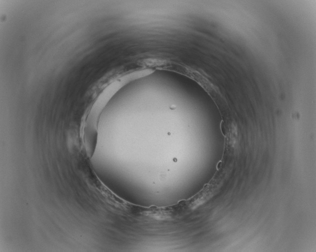 X0000076420763200610202220