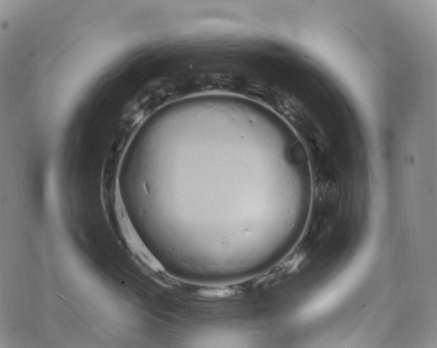 X0000076420765200610202220