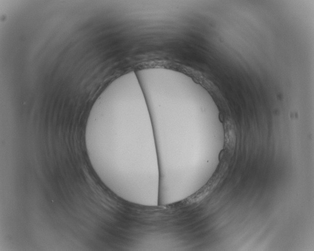 X0000076420767200610202220