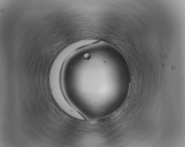 X0000076420768200610202220