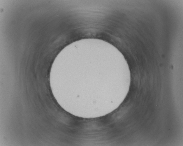 X0000076420769200610202219