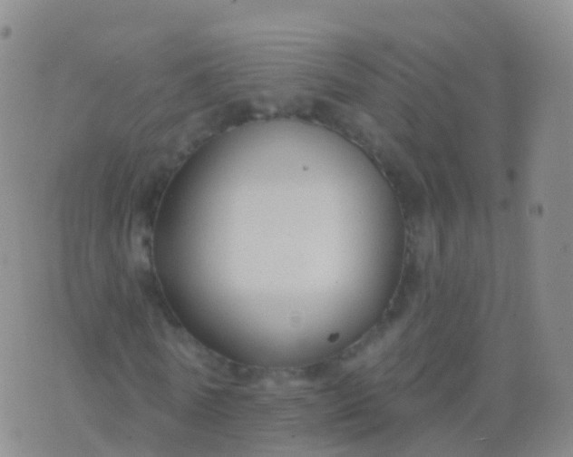 X0000076420770200610202219