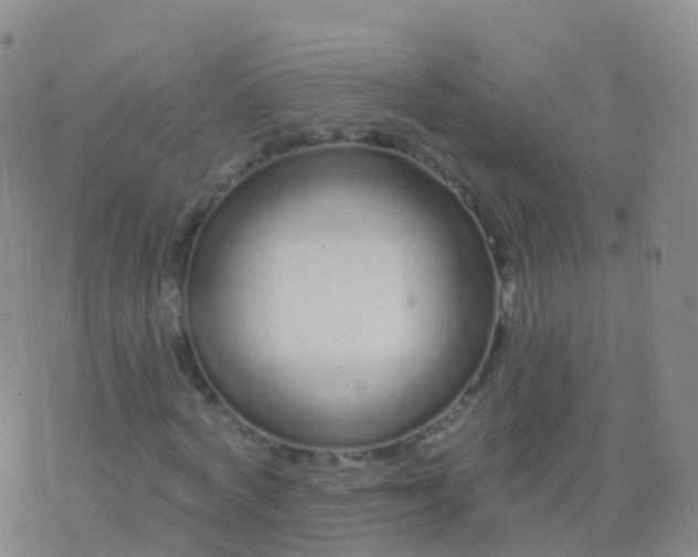 X0000076420772200610202219