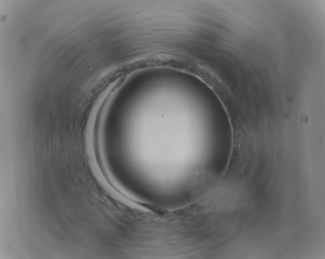 X0000076420773200610202219