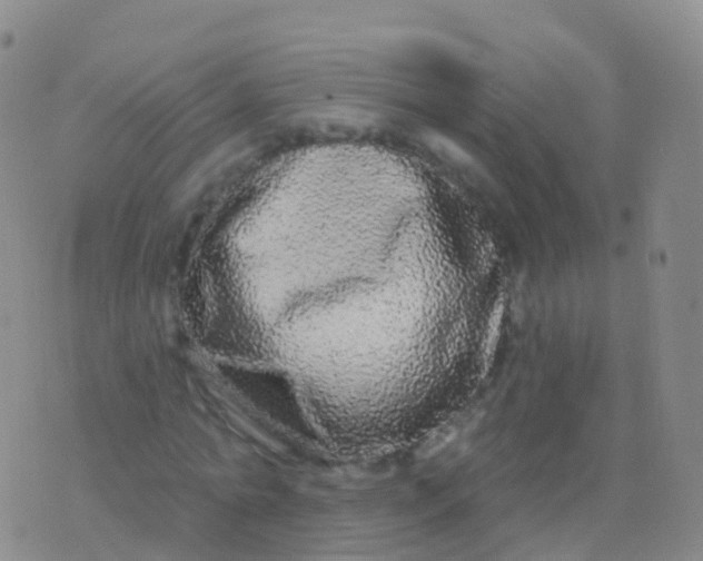 X0000076420774200610202219