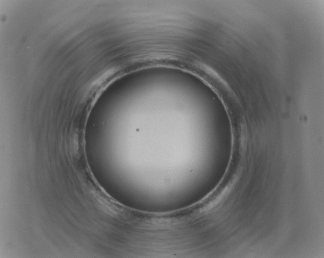 X0000076420777200610202219