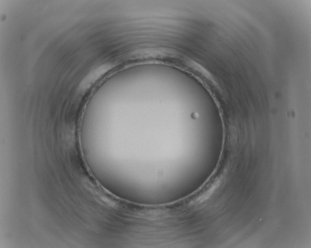 X0000076420778200610202219