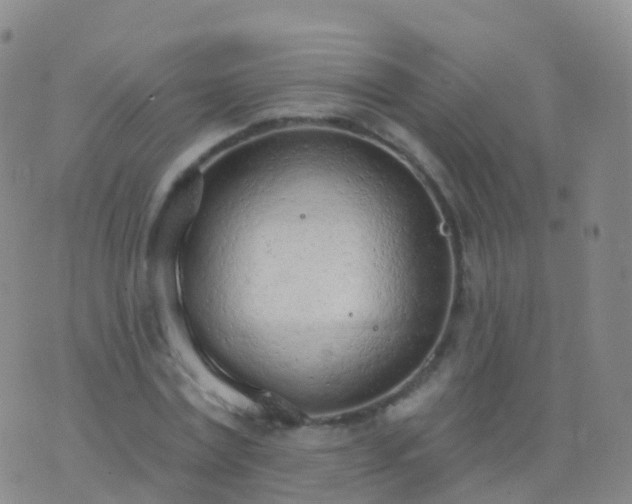 X0000076420779200610202219