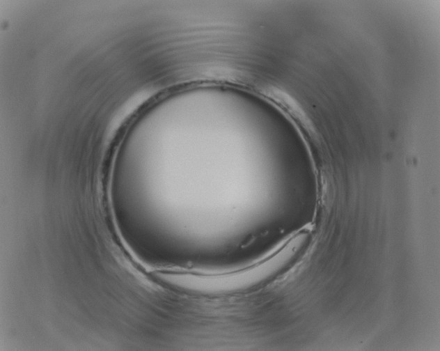 X0000076420780200610202219