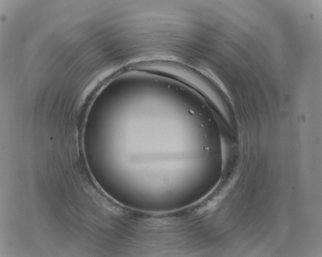 X0000076420781200610202219