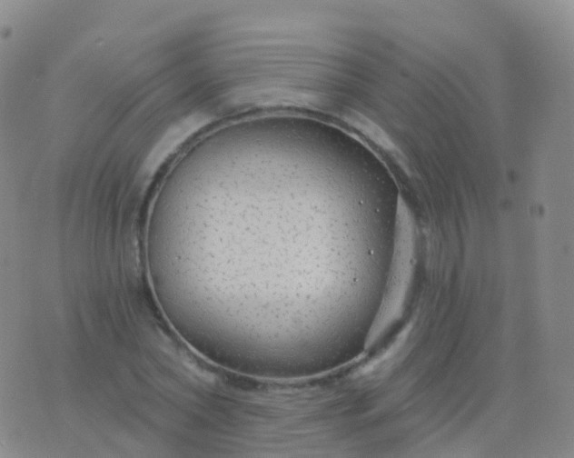 X0000076420782200610202219