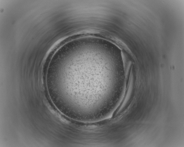 X0000076420784200610202219