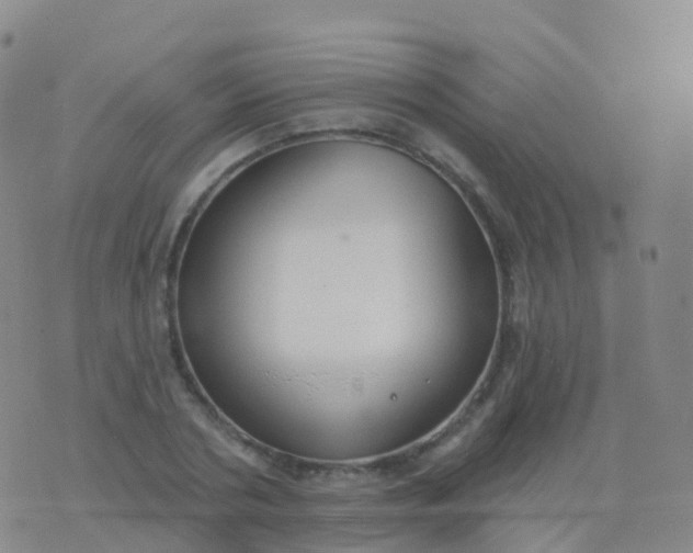 X0000076420786200610202219