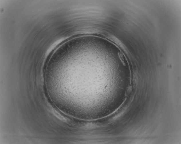 X0000076420787200610202219