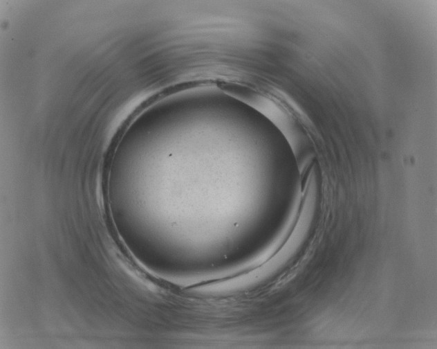 X0000076420788200610202219