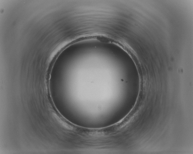 X0000076420789200610202219