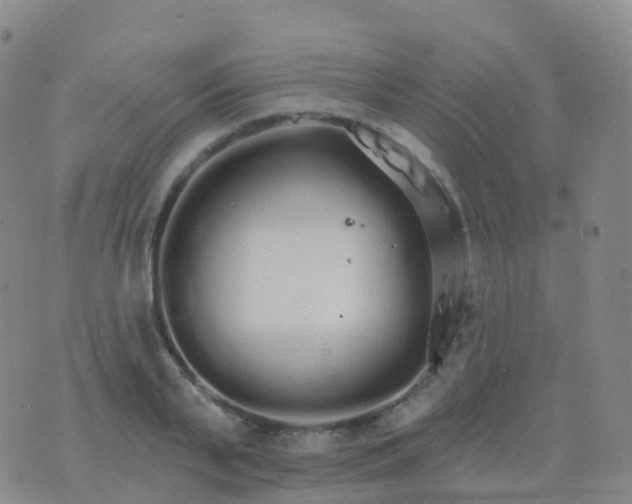 X0000076420791200610202219