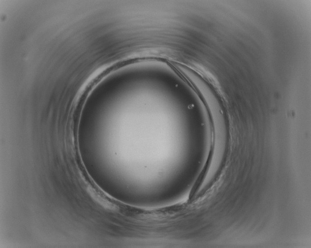 X0000076420792200610202219