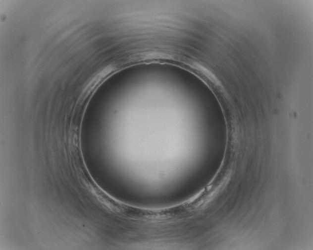 X0000076420793200610202219