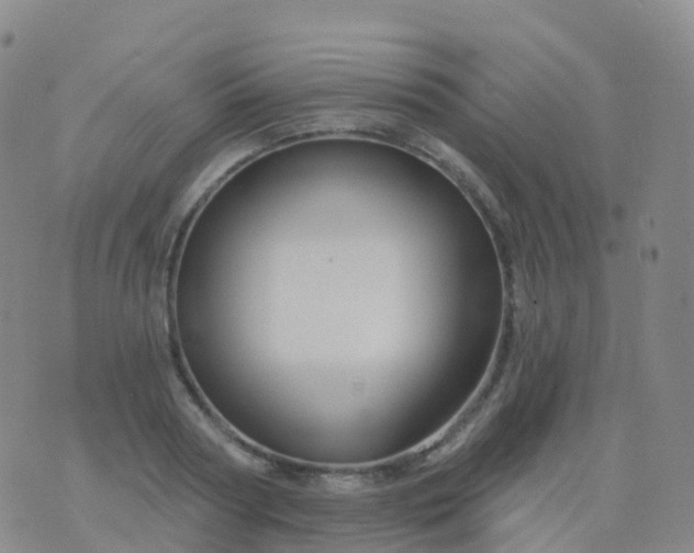 X0000076420794200610202219