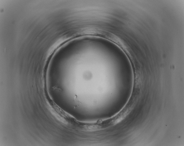 X0000076420795200610202219