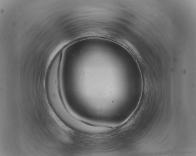 X0000076420796200610202219