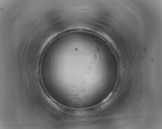 X0000076420799200610202218