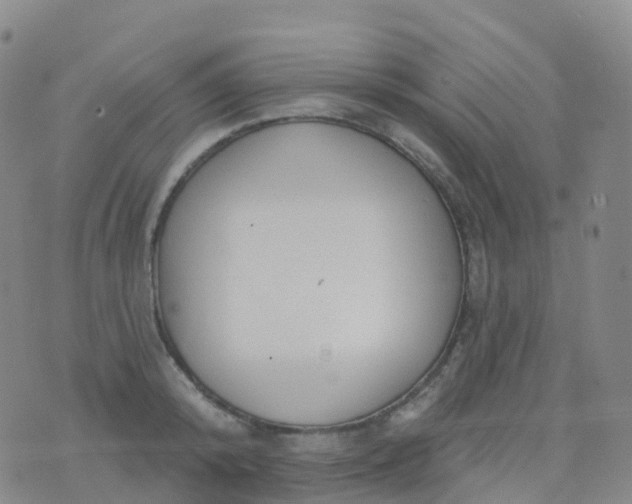 X0000076420800200610202218