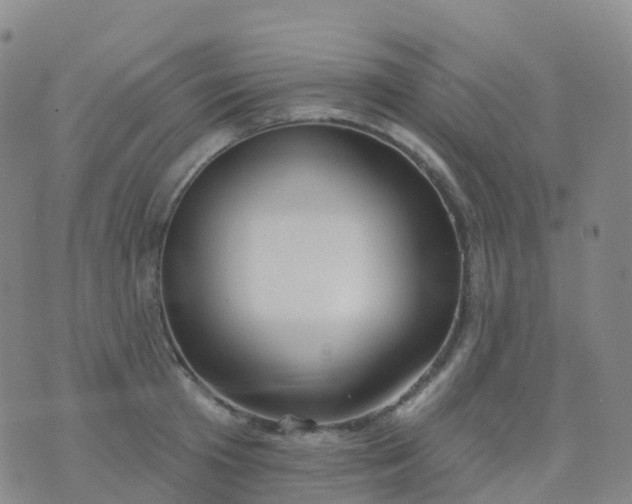 X0000076420801200610202218