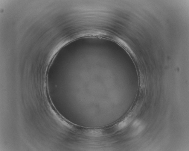 X0000076420802200610202218