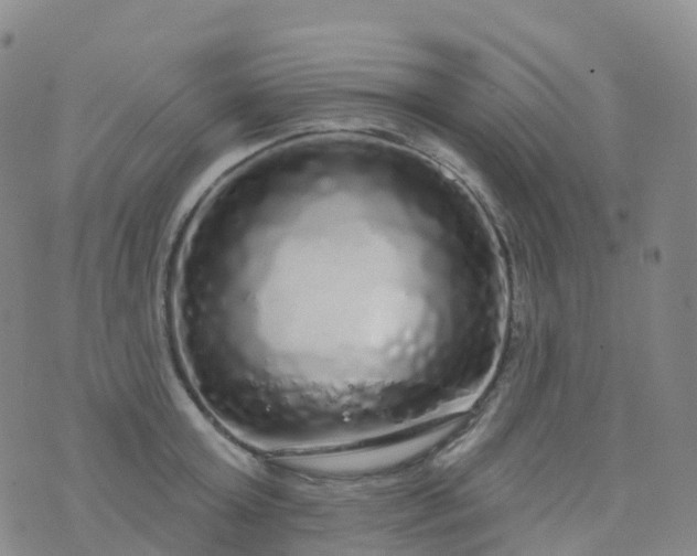 X0000076420803200610202218