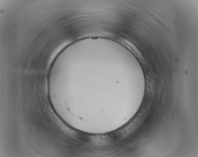 X0000076420804200610202218