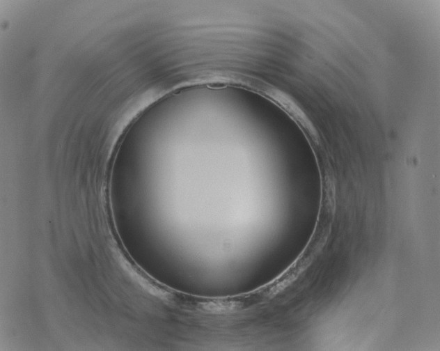 X0000076420805200610202218