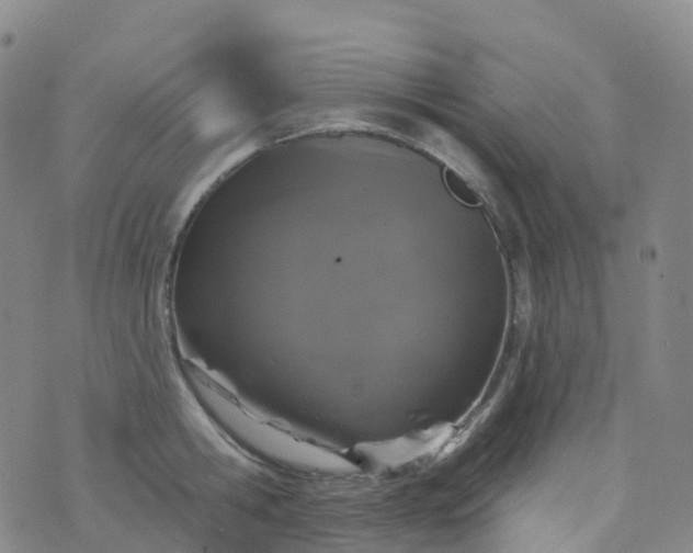 X0000076420806200610202218